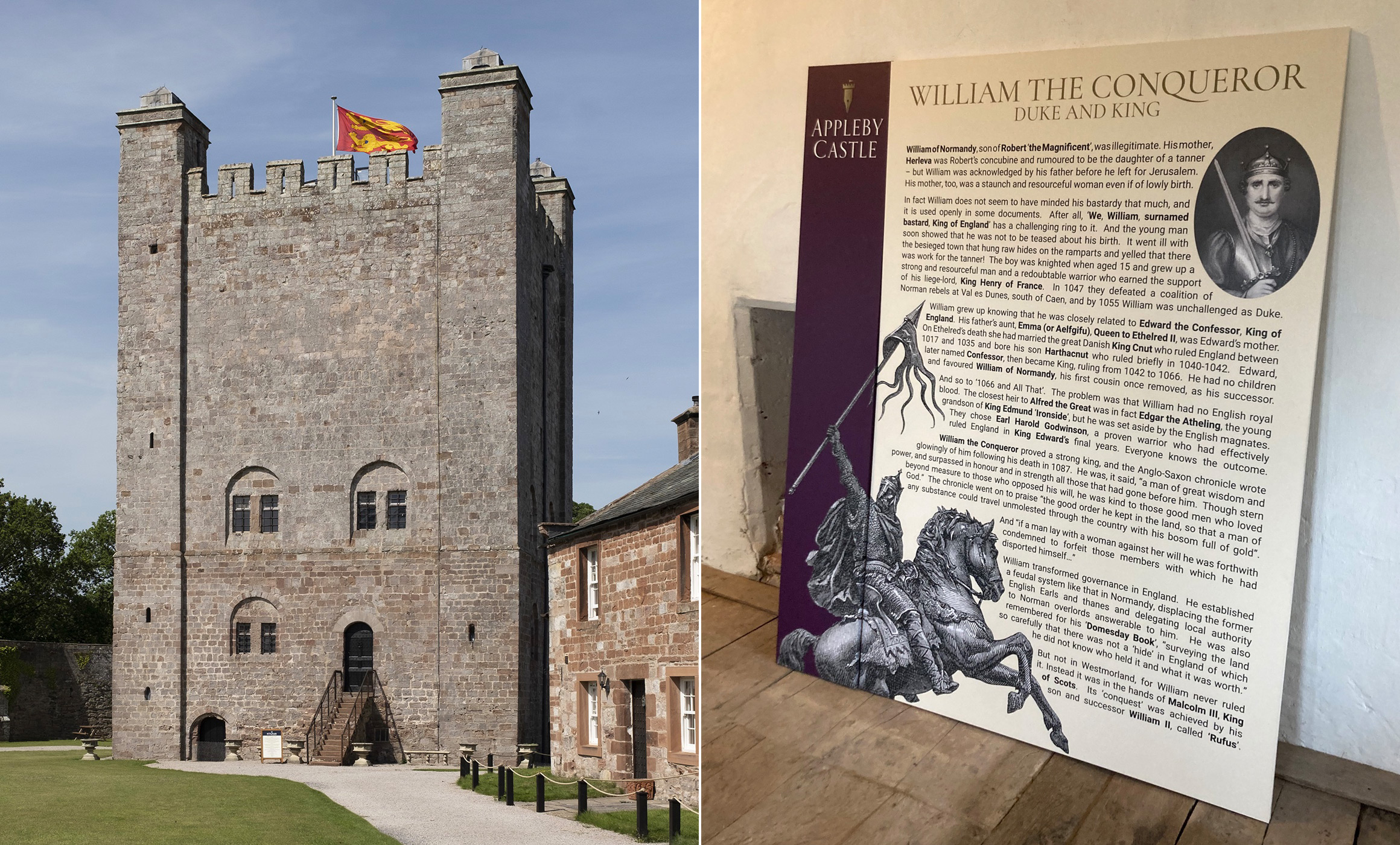 blog_post_appleby3_2320x1400pxl